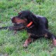 RRS_Fotogalerien_2015-12-31_Silvesterspaziergang033