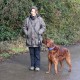 RRS_Fotogalerien_2015-12-31_Silvesterspaziergang047