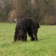 RRS_Fotogalerien_2015-12-31_Silvesterspaziergang061