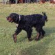 RRS_Fotogalerien_2015-12-31_Silvesterspaziergang102