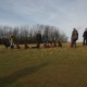 RRS_Fotogalerien_2015-12-31_Silvesterspaziergang114