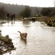RRS_Fotogalerien_2015-12-31_Silvesterspaziergang175