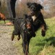 RRS_Fotogalerien_2015-12-31_Silvesterspaziergang194