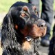 RRS_Fotogalerien_2015-12-31_Silvesterspaziergang198
