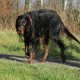 RRS_Fotogalerien_2015-12-31_Silvesterspaziergang208