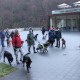 RRS_Fotogalerien_2016-01-10_Muengstener_Bruecke015