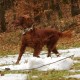 RRS_Fotogalerien_2016-03-20_Eifel-Exkursion028