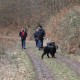 RRS_Fotogalerien_2016-03-20_Eifel-Exkursion036