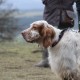 RRS_Fotogalerien_2016-03-20_Eifel-Exkursion087