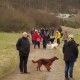 RRS_Fotogalerien_2016-03-20_Eifel-Exkursion149