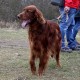 RRS_Fotogalerien_2016-03-20_Eifel-Exkursion183