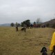RRS_Fotogalerien_2016-03-20_Eifel-Exkursion191