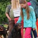 RRS_Fotogalerien_2016-06-12_Hundestunde003