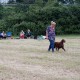 RRS_Fotogalerien_2016-06-12_Hundestunde023