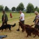 RRS_Fotogalerien_2016-06-12_Hundestunde082
