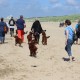 RRS_Fotogalerien_2016-07-03_Noordwijk106