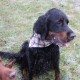 RRS_Fotogalerien_2016-12-31_Silvesterspaziergang070